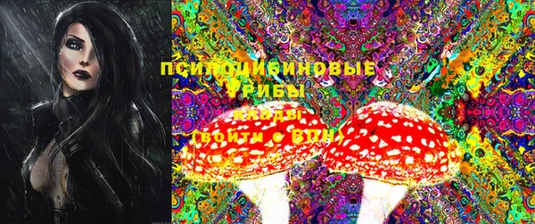 ешки Магас