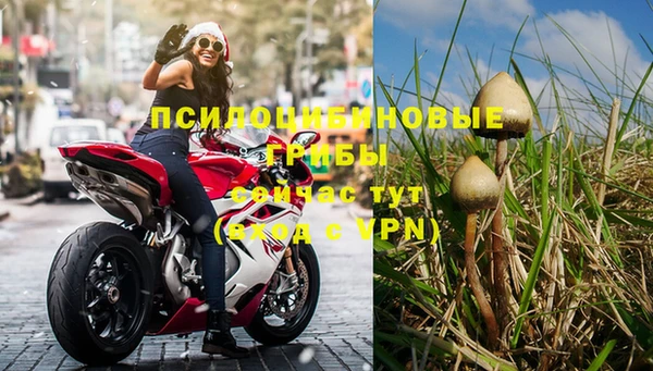 дмт Магадан