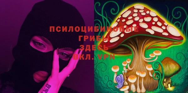 дмт Магадан