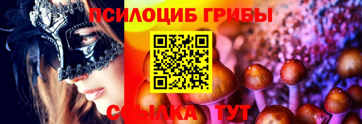 Галлюциногенные грибы прущие грибы Псков