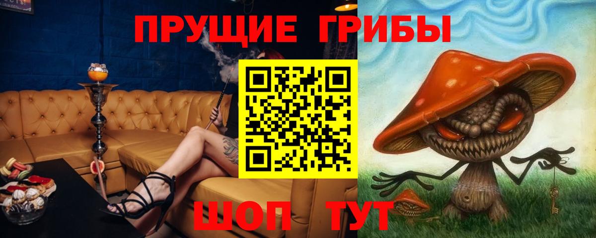 Галлюциногенные грибы GOLDEN TEACHER  Вход с VPN  Псков 