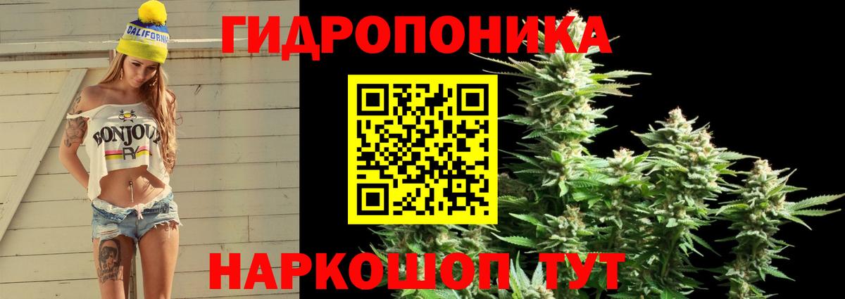 Канабис White Widow  Вход с VPN  Псков  Шишки марихуана конопля  Канабис семена 